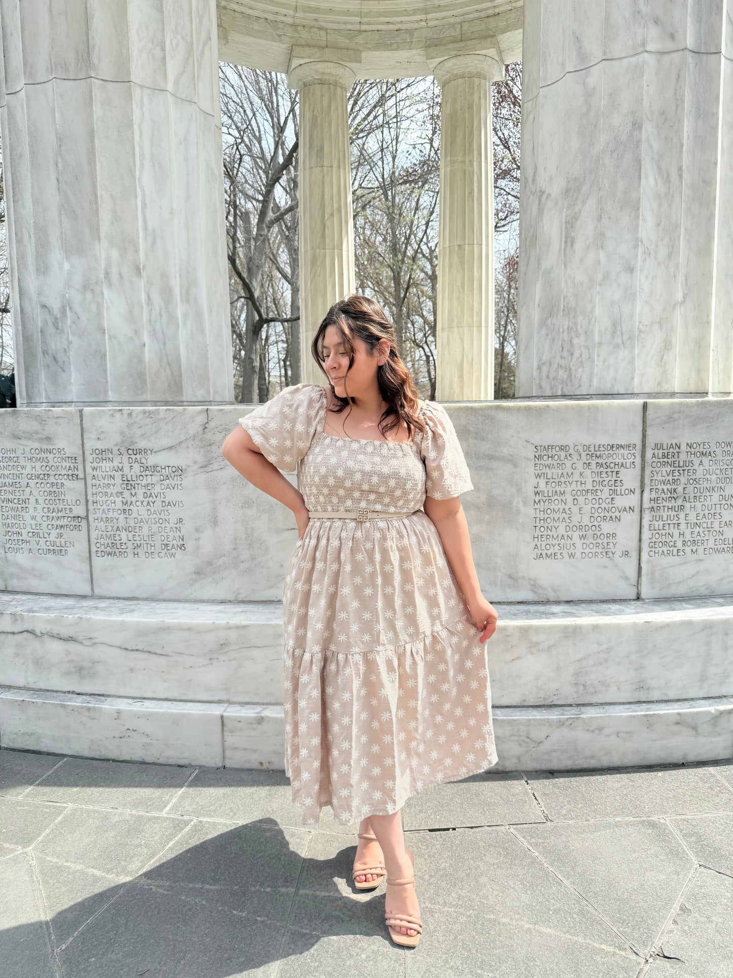 Rebeca Taupe Dress