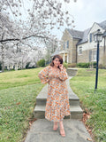 Roselin Taupe Dress