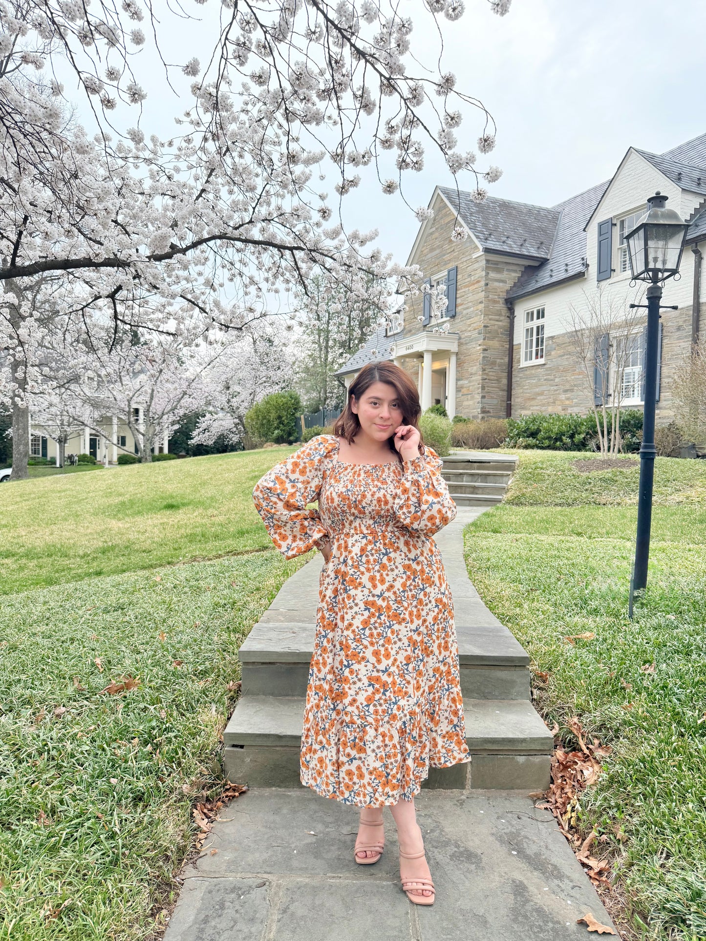 Roselin Taupe Dress