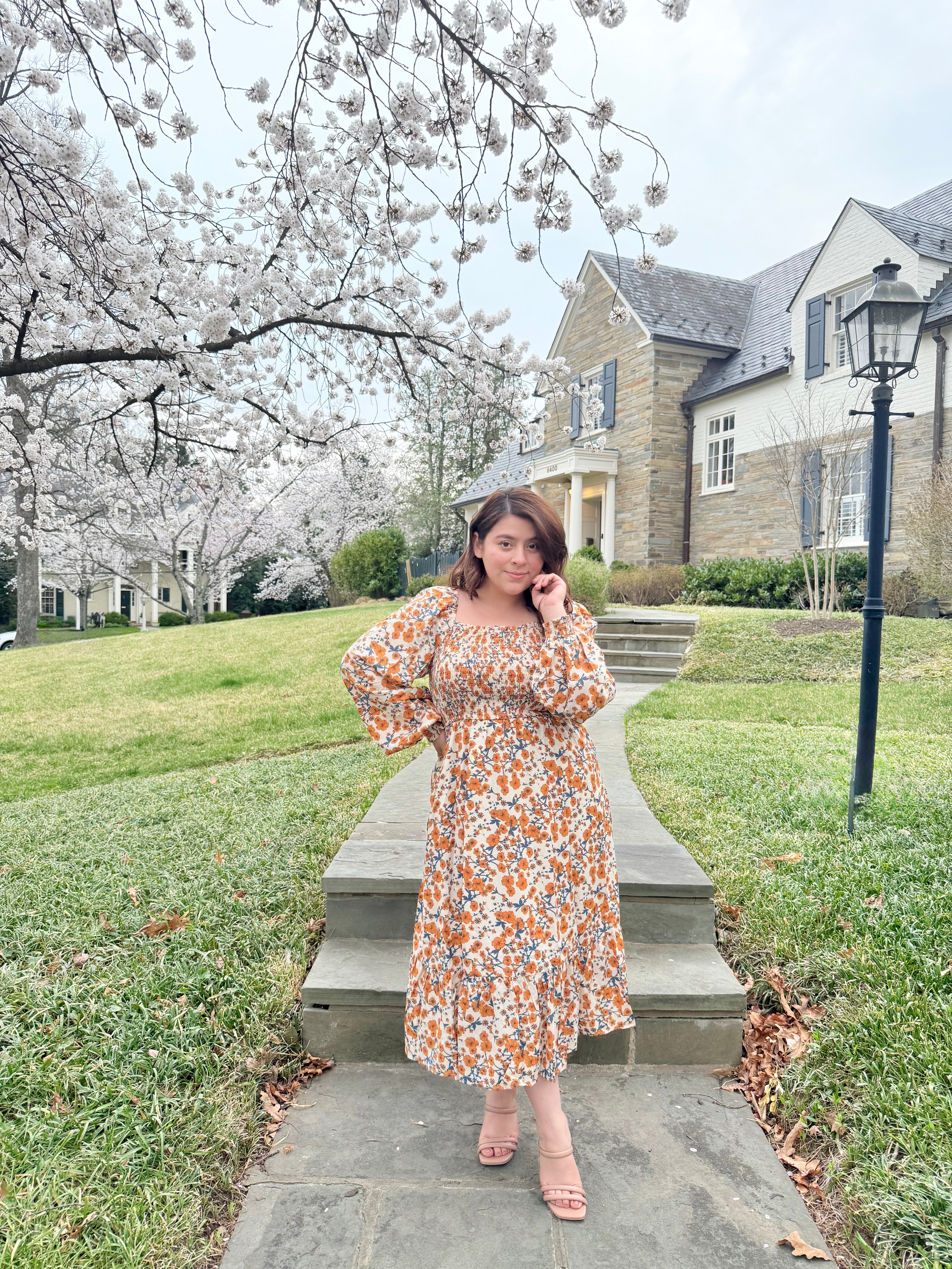 Roselin Taupe Dress