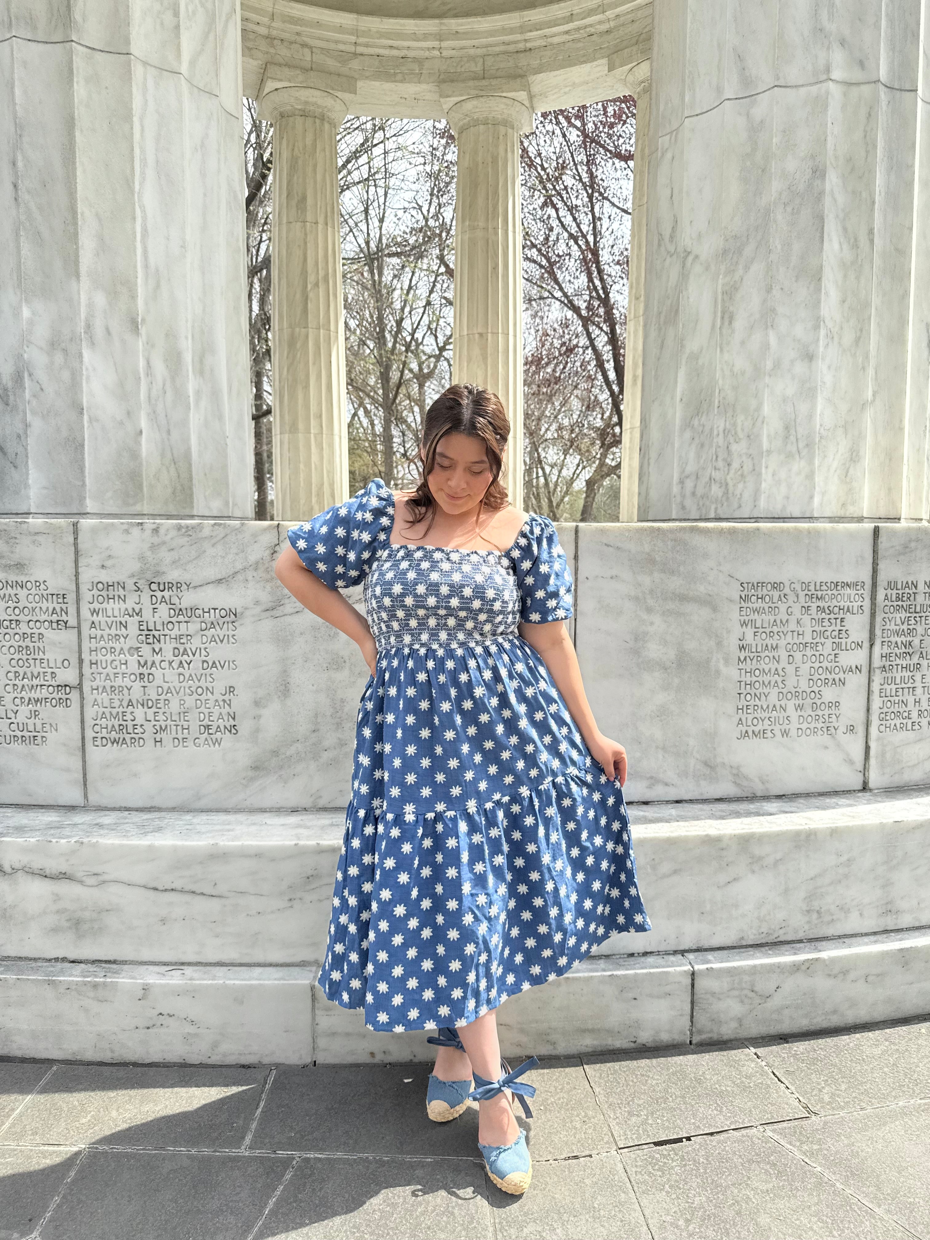Rebeca Denim Dress