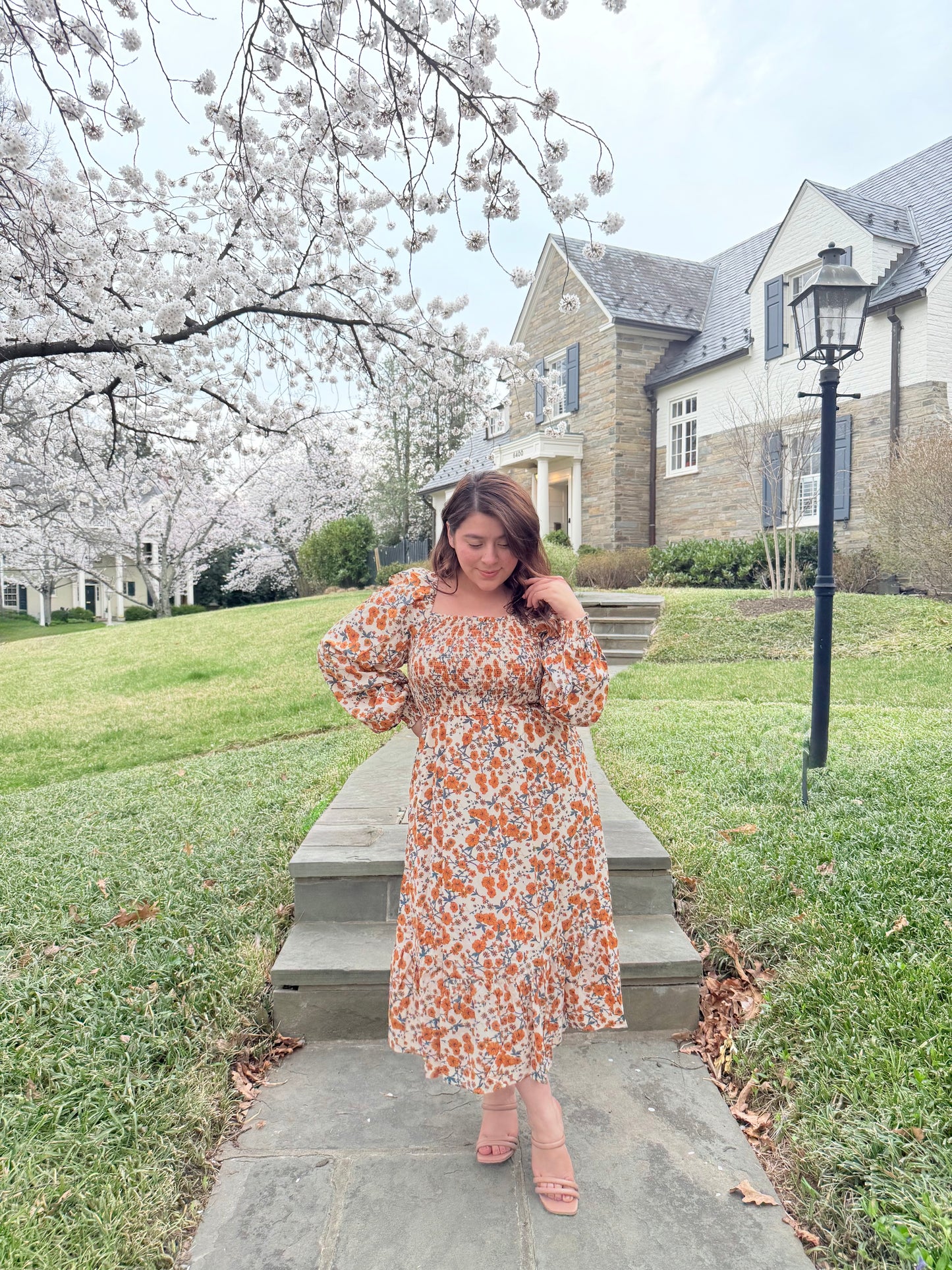 Roselin Taupe Dress