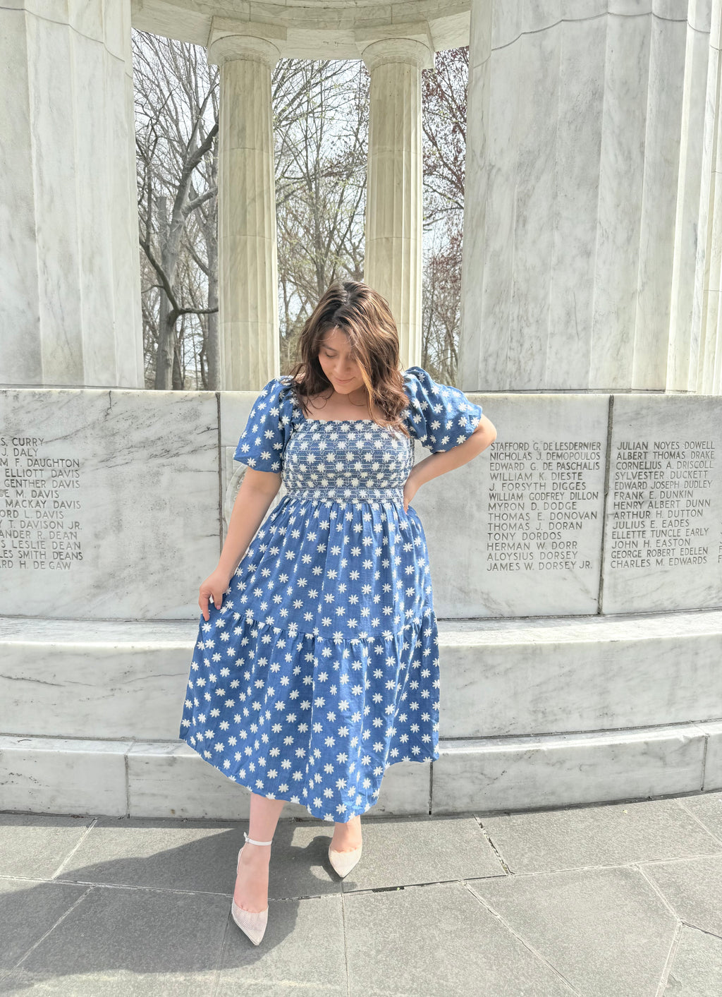 Rebeca Denim Dress